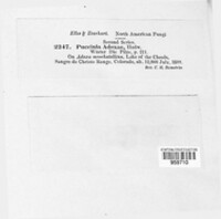 Image Associated With the Occurence